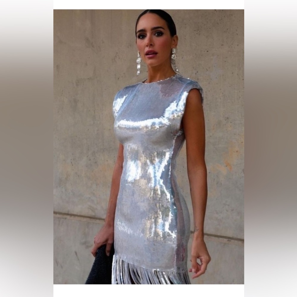 Zara Silva sequined fringe dress